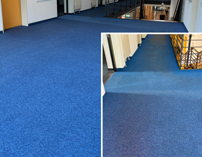 Teppichreinigung Dresden Teppich reinigen Dresden